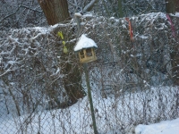 Zwerge und Wichtel   