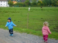Alltag bei den Strolchen