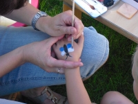 Sommerfest 2011