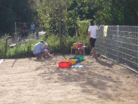Sommerfest 2011