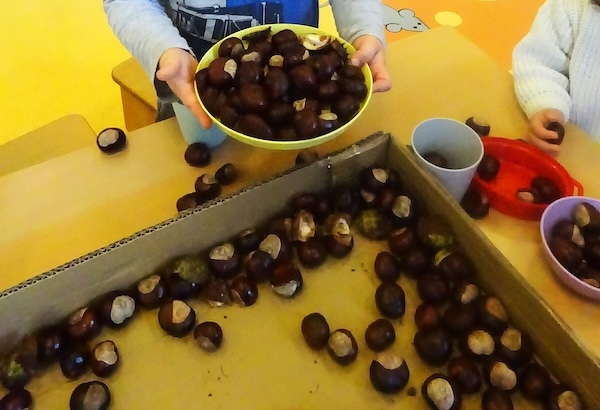 Strolche_03_11_2025_31_10_20252