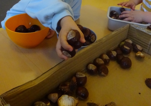 Strolche_03_11_2025_31_10_20254