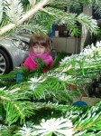 Aktion "Weihnachtsbaum"