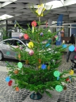 Aktion "Weihnachtsbaum"