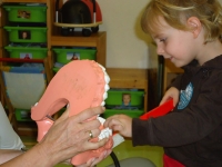 Projekt Zahnpflege 2011