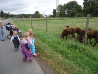 Ausflug ins Feld