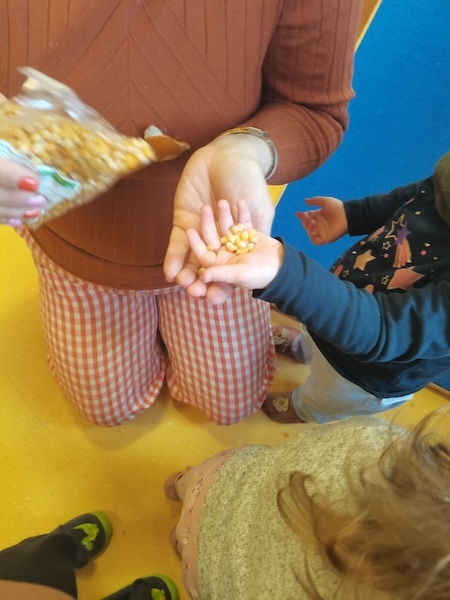 Zwichtel_09_03_20265